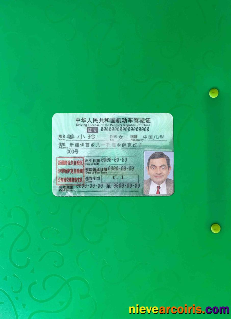 China driving license photolook